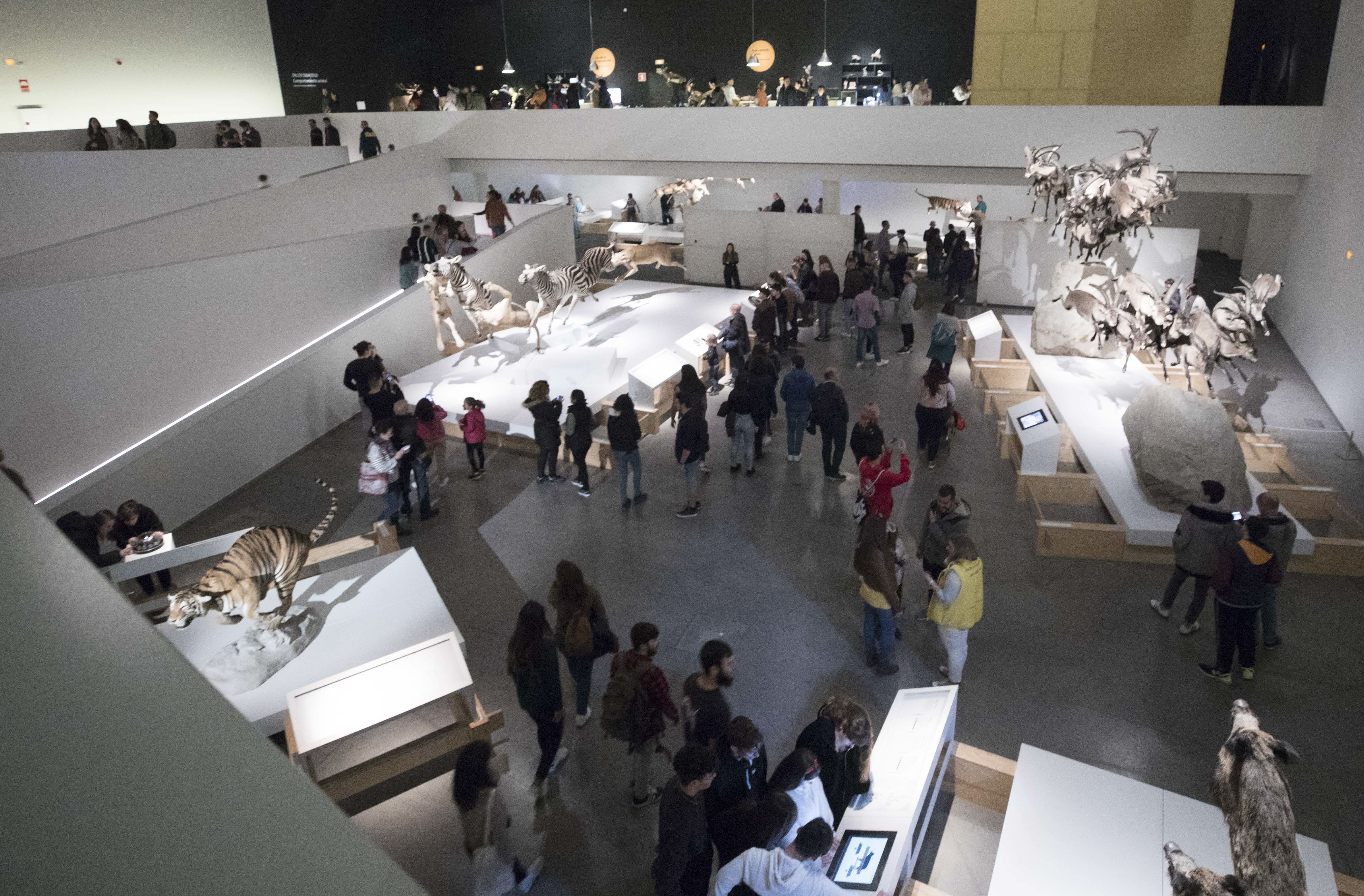 El Parque de las Ciencias, un referente único en Andalucía