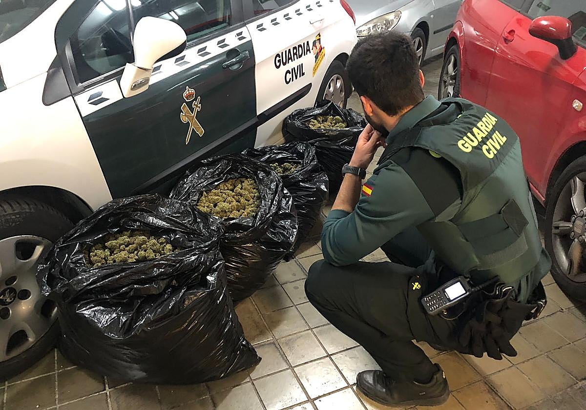 La droga encontrada en la vivienda.