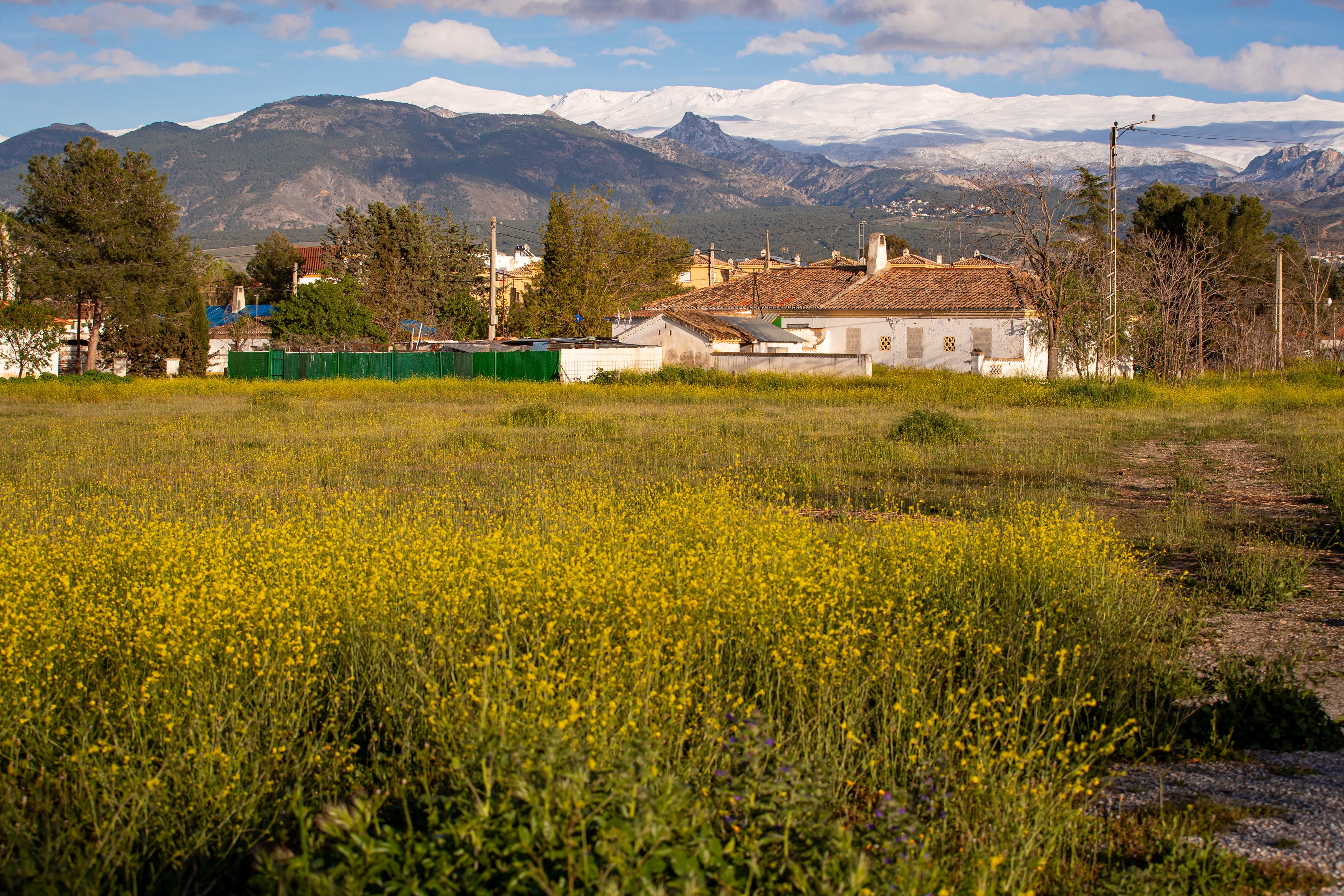 Terrenos de la Colonia Dávila donde está proyectado el campamento de inmigrantes.