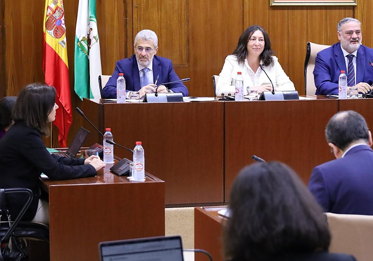 El sistema andaluz de dependencia, entre los mejores valorados de todo el país según el Observatorio Estatal