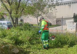 Un operario desbroza uno de los solares.