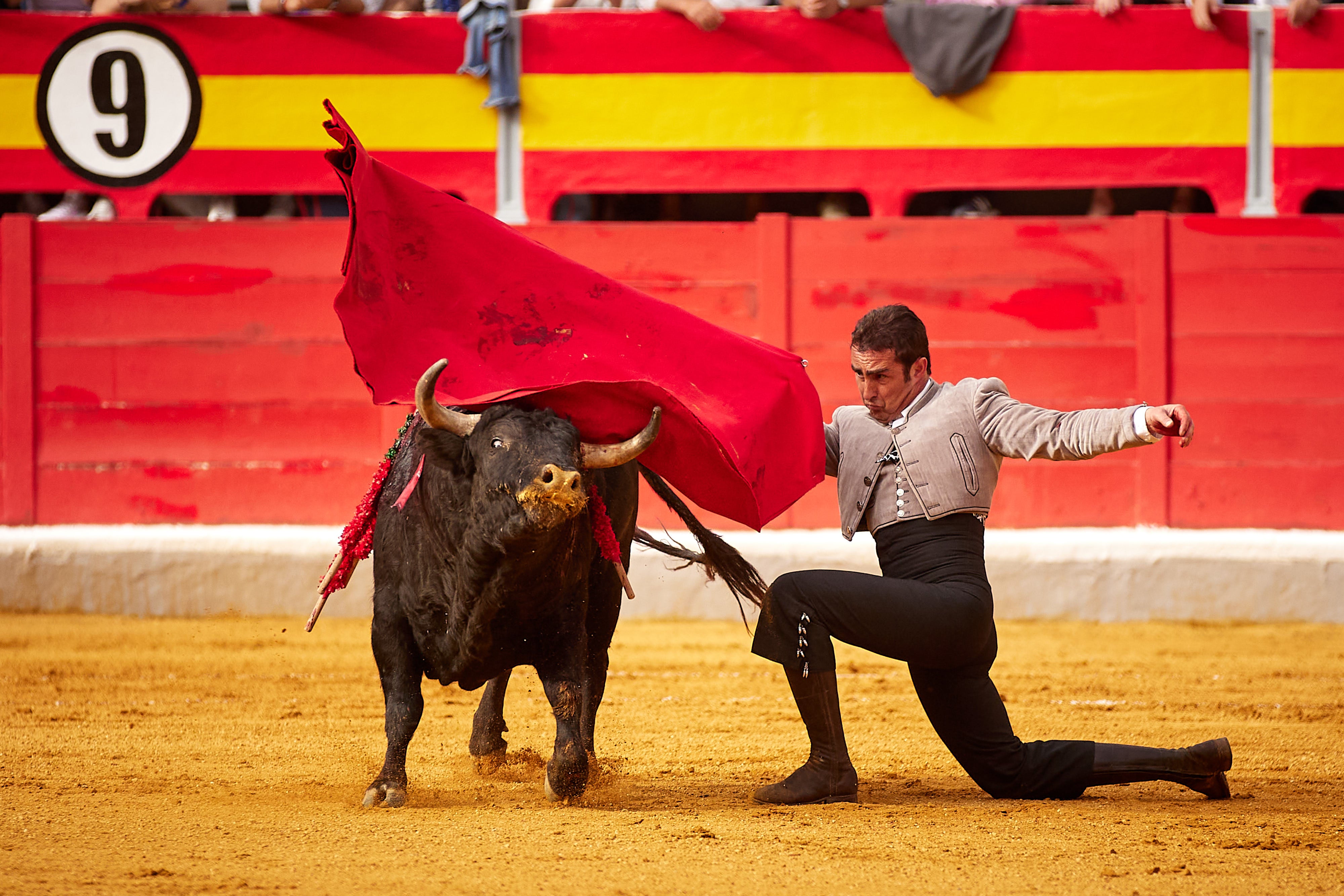 Las mejores imágenes del festival taurino de Granadown