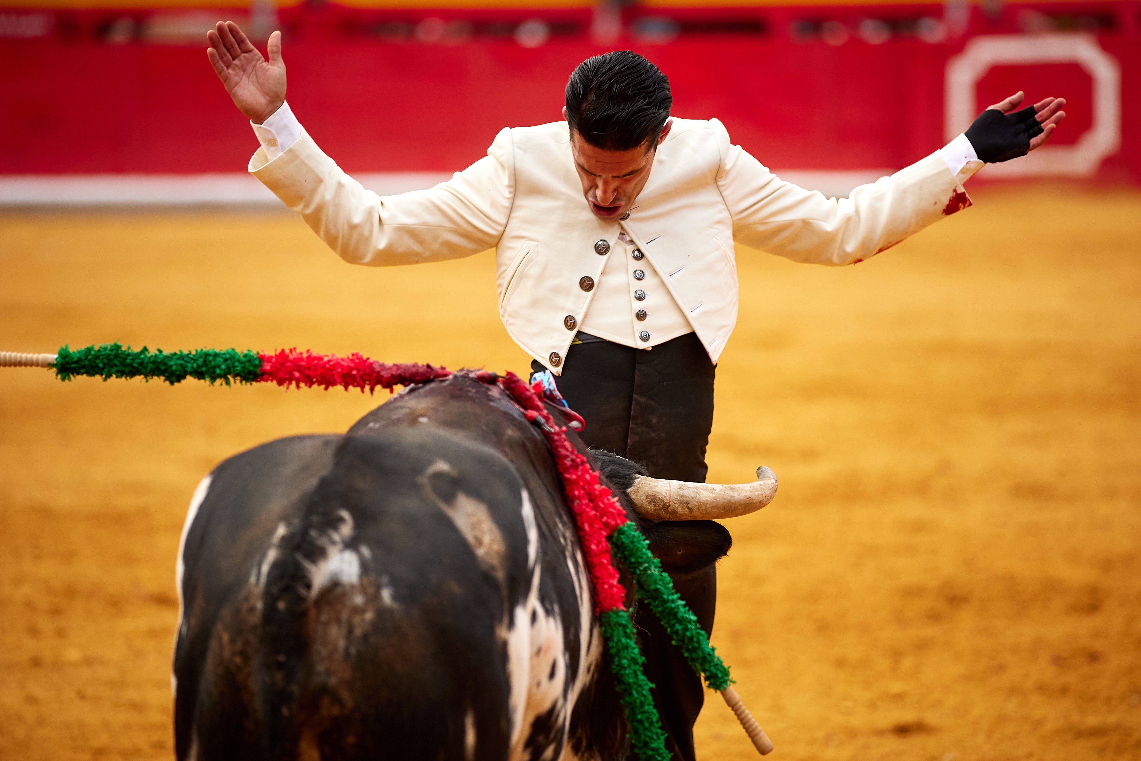 Las mejores imágenes del festival taurino de Granadown