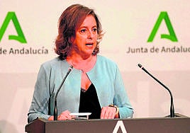 La consejera de Salud y Consumo de la Junta, Catalina García, en la presentación de la estrategia.