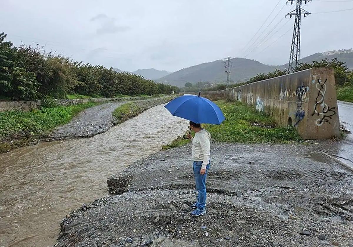 El agua fluye por Río Verde, que palidecía por una sequía que amenaza 3.500 hectáreas de subtropicales.