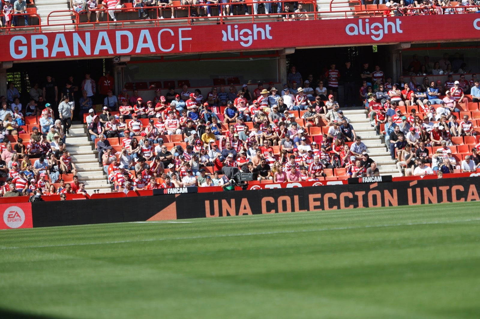 Encuéntrate en la grada en el partido entre Granada y Alavés