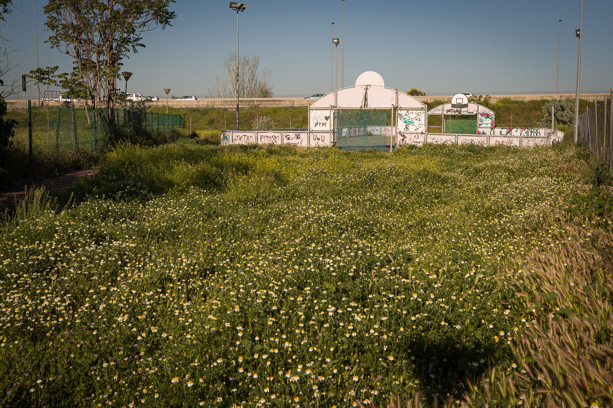 Las imágenes del estado actual del gimnasio We en Granada