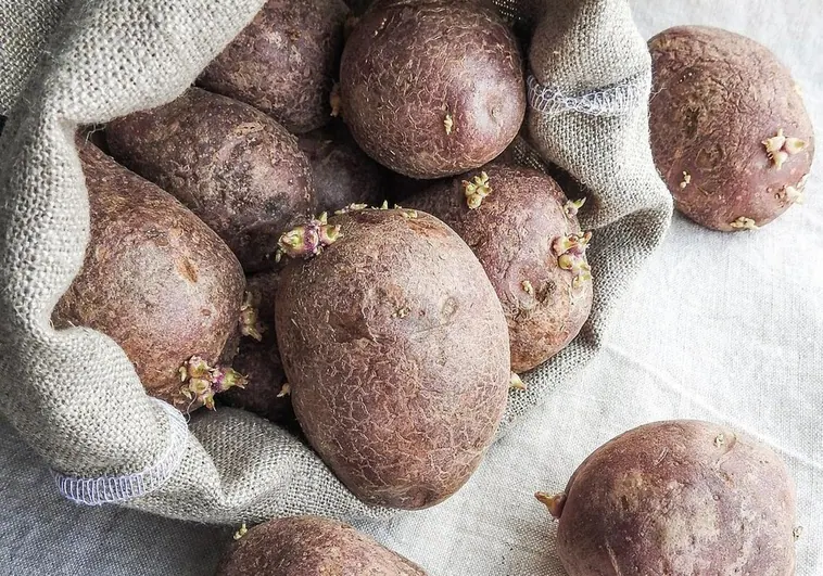 Un experto desvela el secreto de las patatas: «Antes tardaban más»