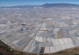 Rebaja general del 15% en el IRPF 2023 para 800.000 agricultores y ganaderos