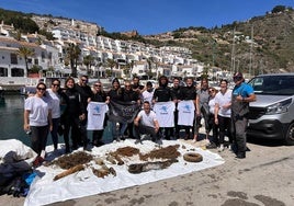 Volntarios participan en la limpieza de las aguas de la Punta de la Mona