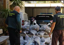 La Guardia Civil descubre 456 kilos de hachís en el techo de un semirremolque en Motril.