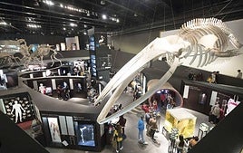 El Parque de las Ciencias aprueba su nueva tarifa de precios para la cesión de espacios e instalaciones