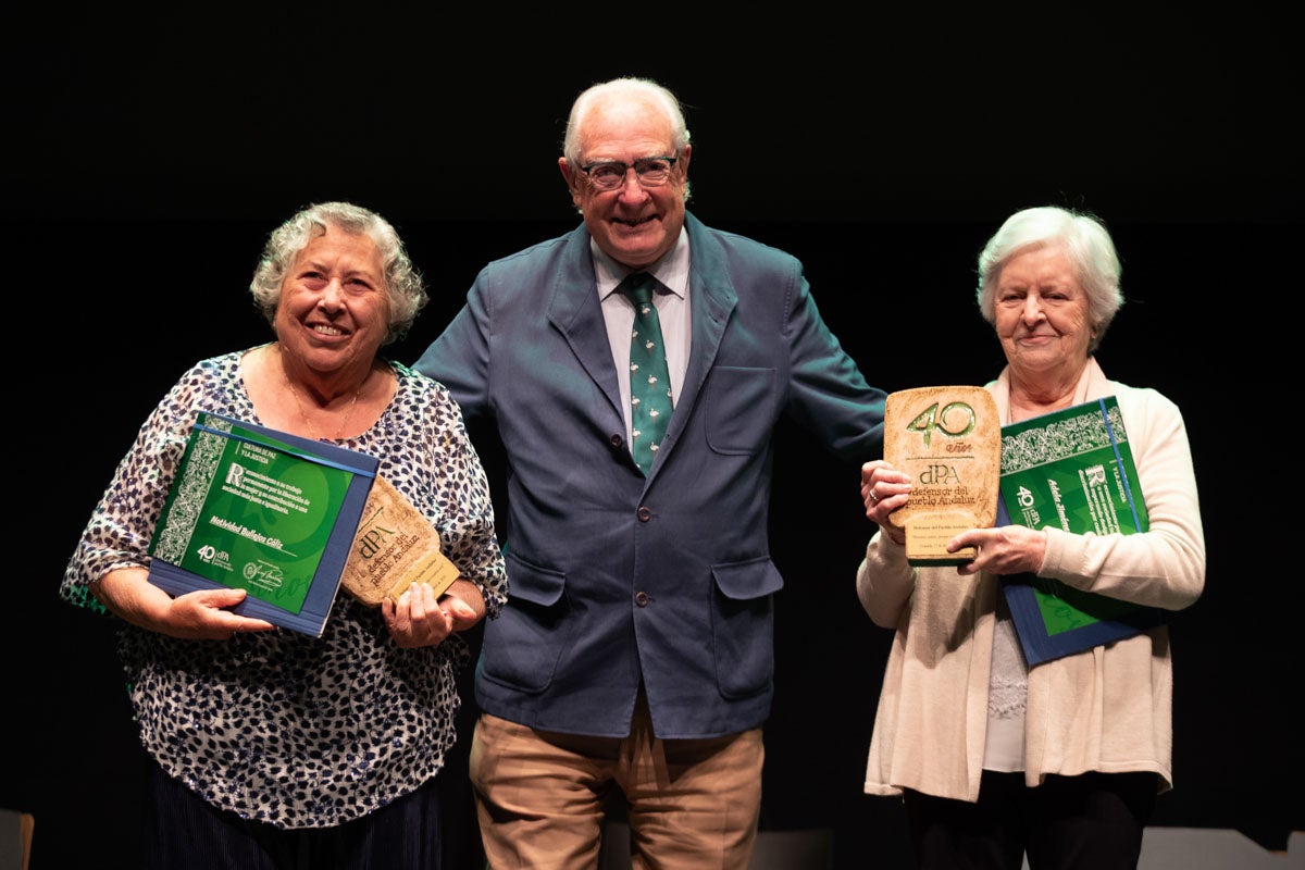 La entrega de las distinciones del Defensor del Pueblo Andaluz, en imágenes