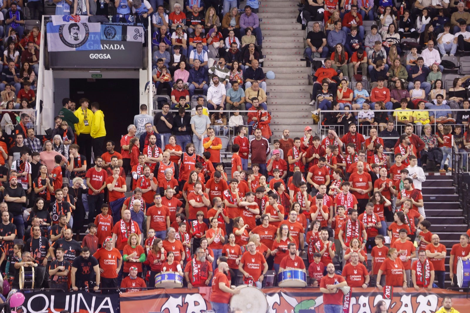 Encuéntrate en la grada durante el Covirán Granada - Breogán