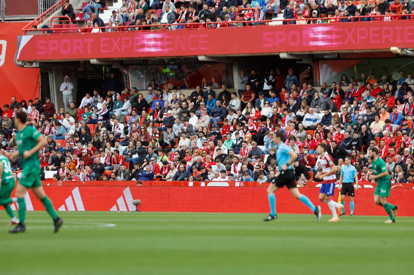 Encuéntrate en la grada en el partido entre Granada y Osasuna