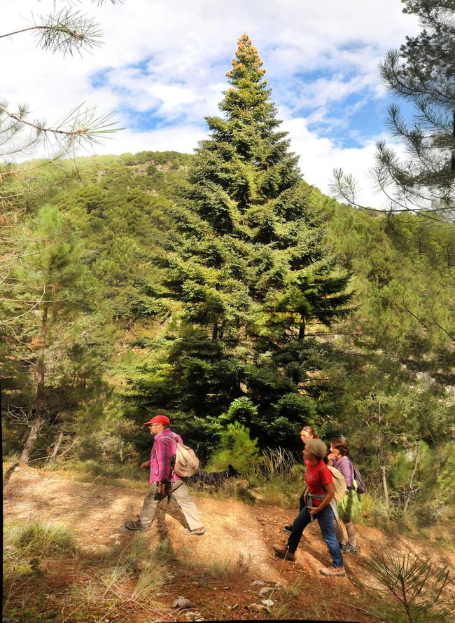 Senderismo en el Parque Natural de la Sierra de Huétor.