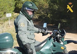 Los galgos presentaban manchas de sangre en las patas y hocico.