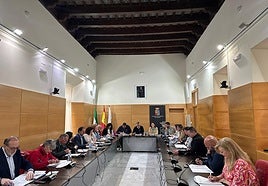 Pleno del Ayuntamiento de Martos.