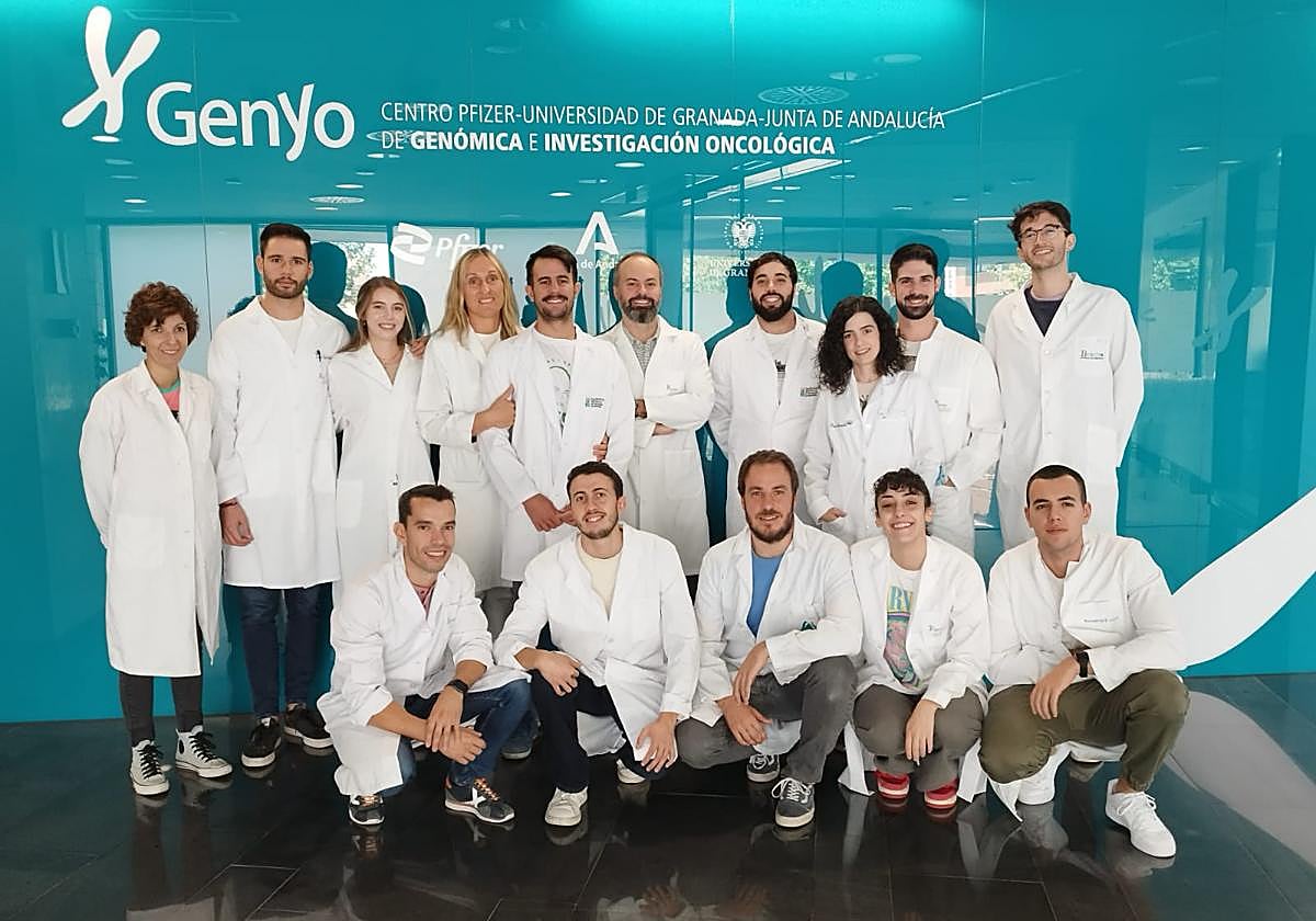 Descubren nuevos mecanismos que pueden mejorar el diagnóstico de los pacientes con linfoma