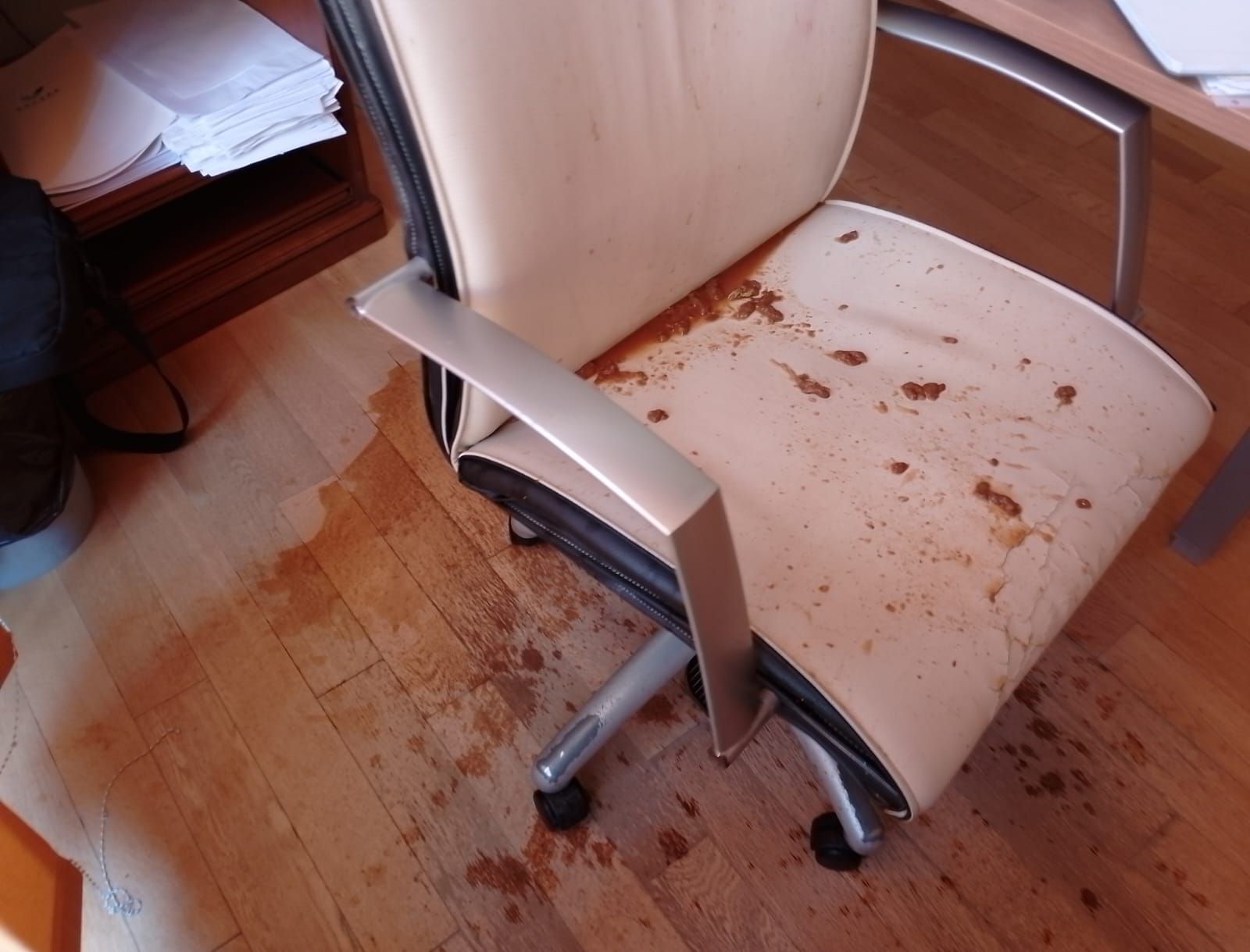 Restos de los excrementos humanos sobre el asiento y el suelo del despacho del concejal y teniente de alcalde de Garrucha.