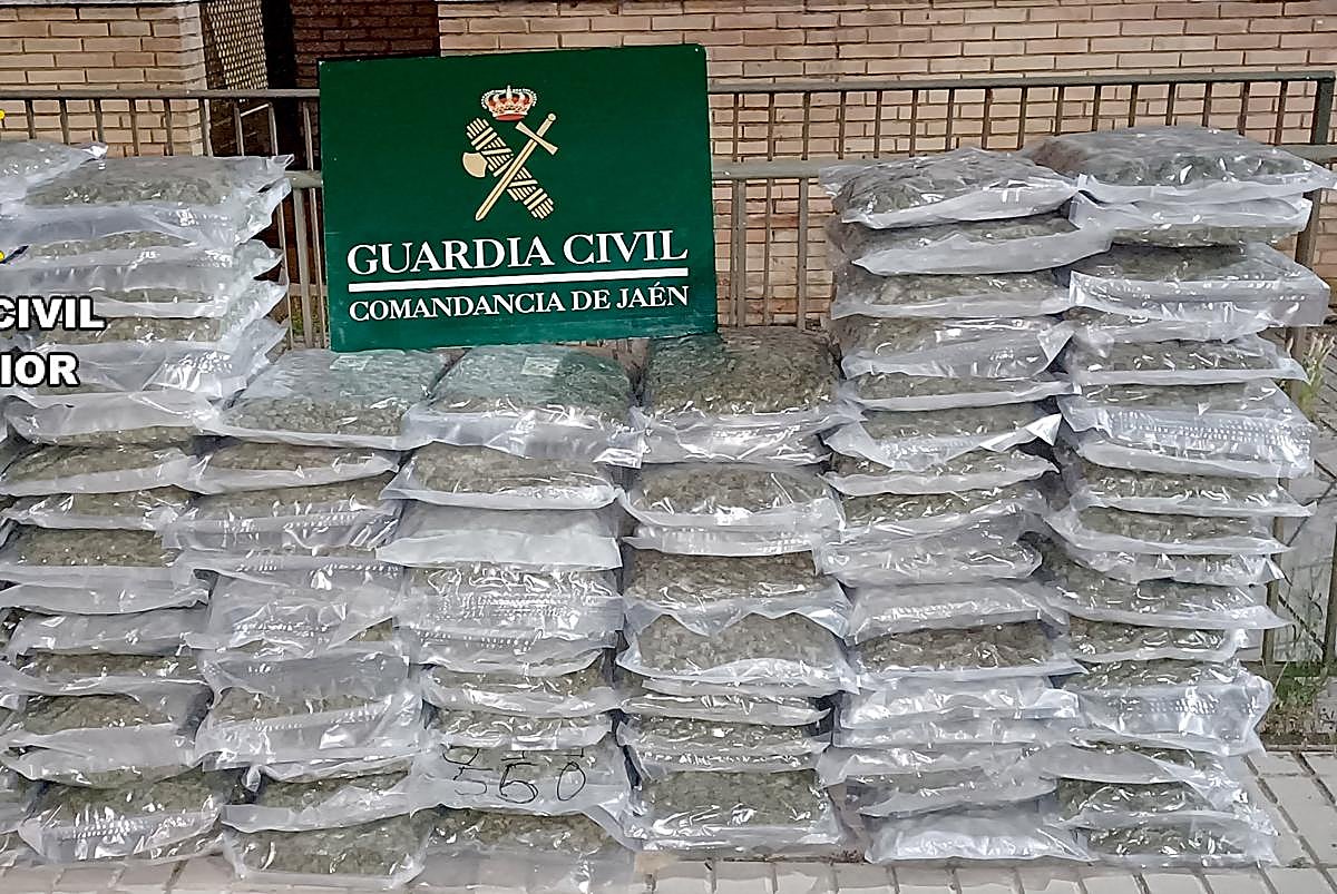 Bolsas de marihuana intervenidas.