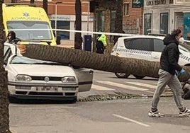 Accidente ocurrido en marzo de 2022 en la Avenida Cabo de Gata de Almería.