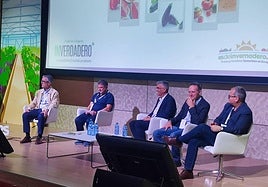 Juan Colomina, Juan Antonio Sánchez, Roberto García Torrente, Salvador Parra y Juan Carlos Pérez Mesa.