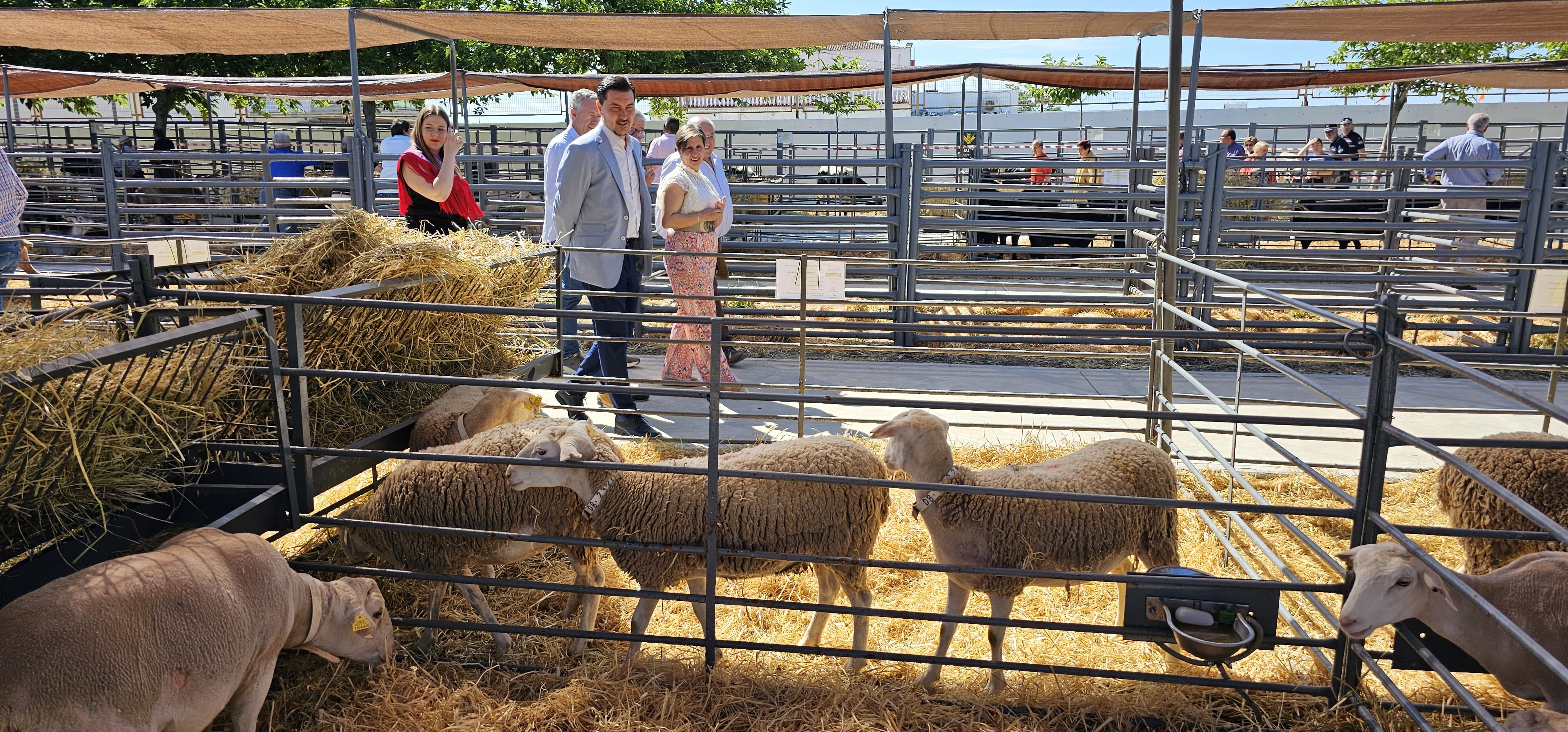 Feria ganadera de La Carolina.