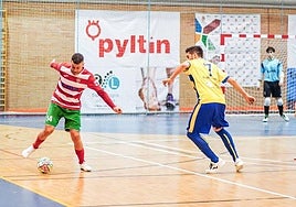 El Sima Granada quiere poner fin a su mala dinámica