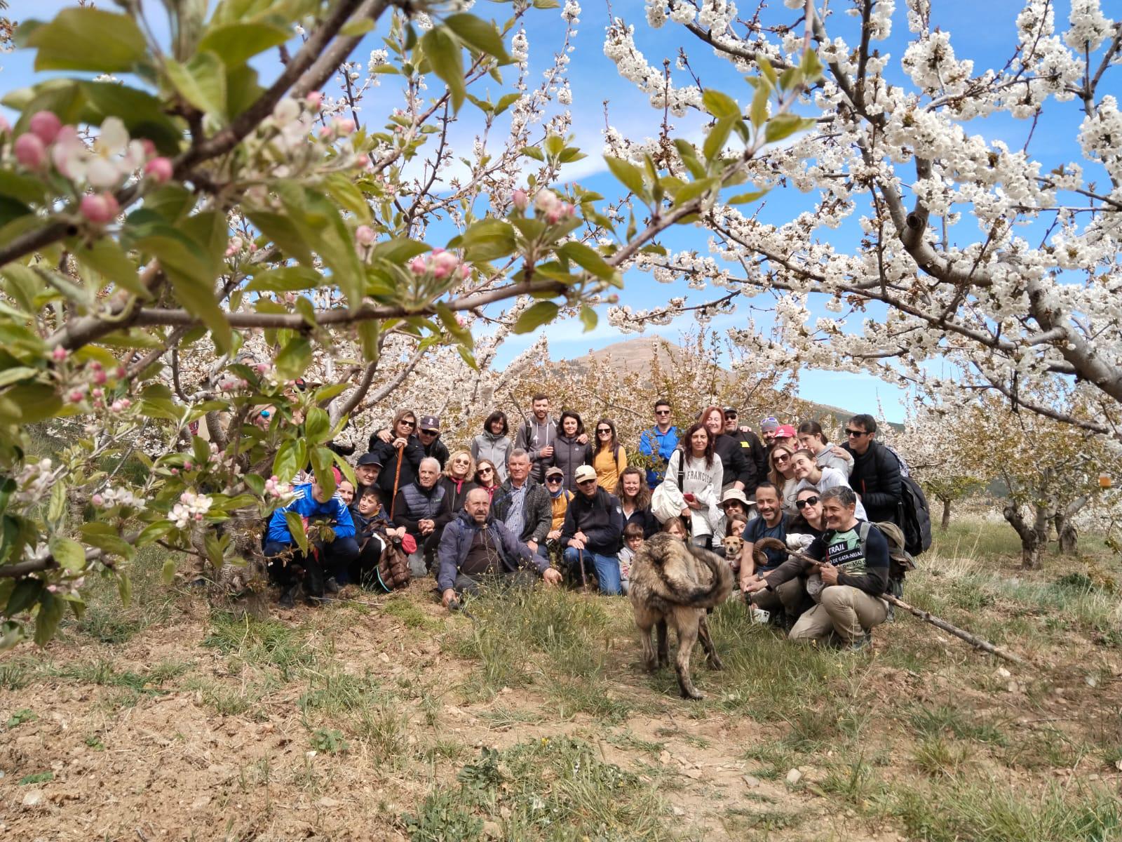 La ruta de los cerezos de Velefique, magia en Los Filabres