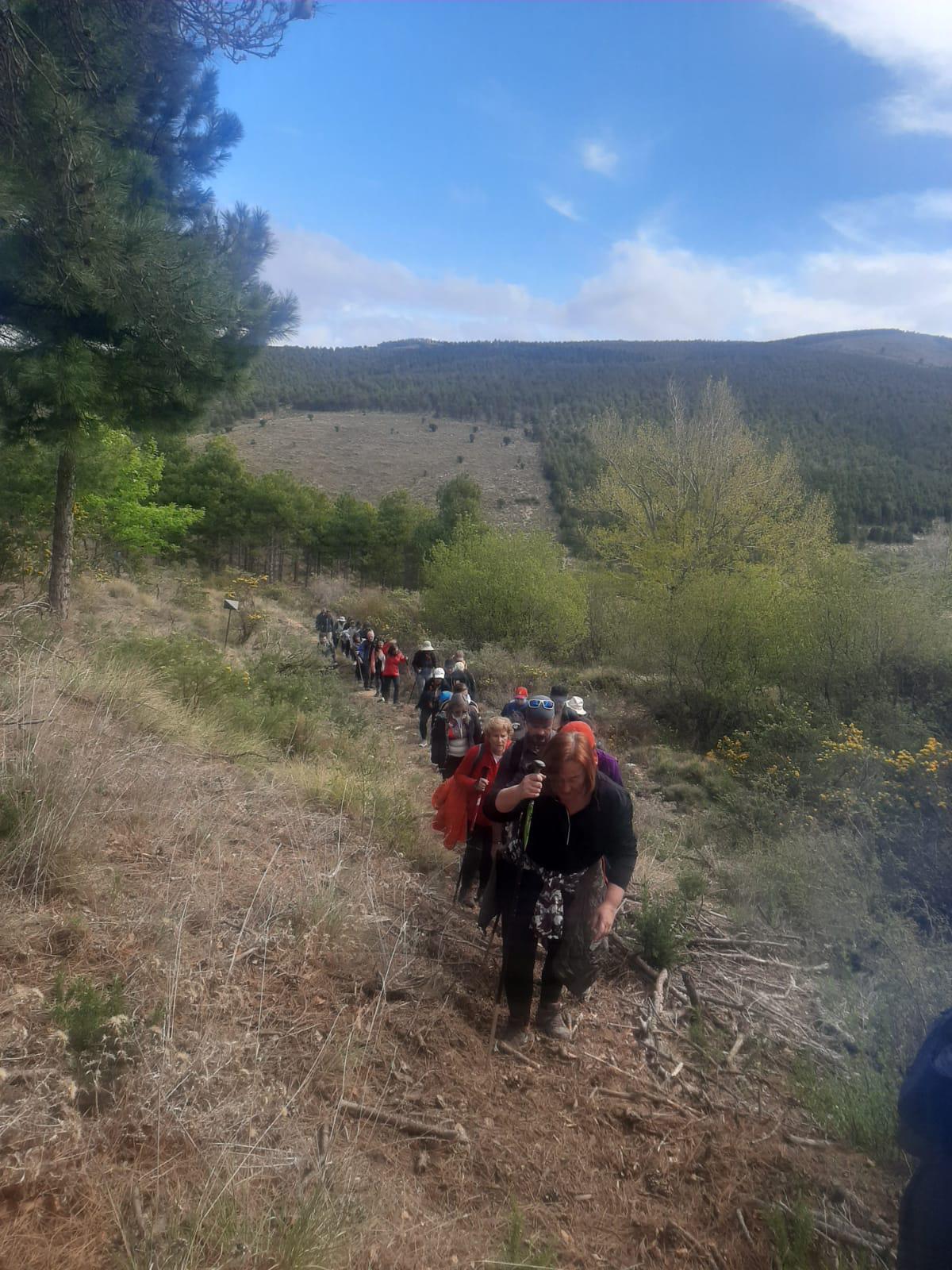La ruta de los cerezos de Velefique, magia en Los Filabres