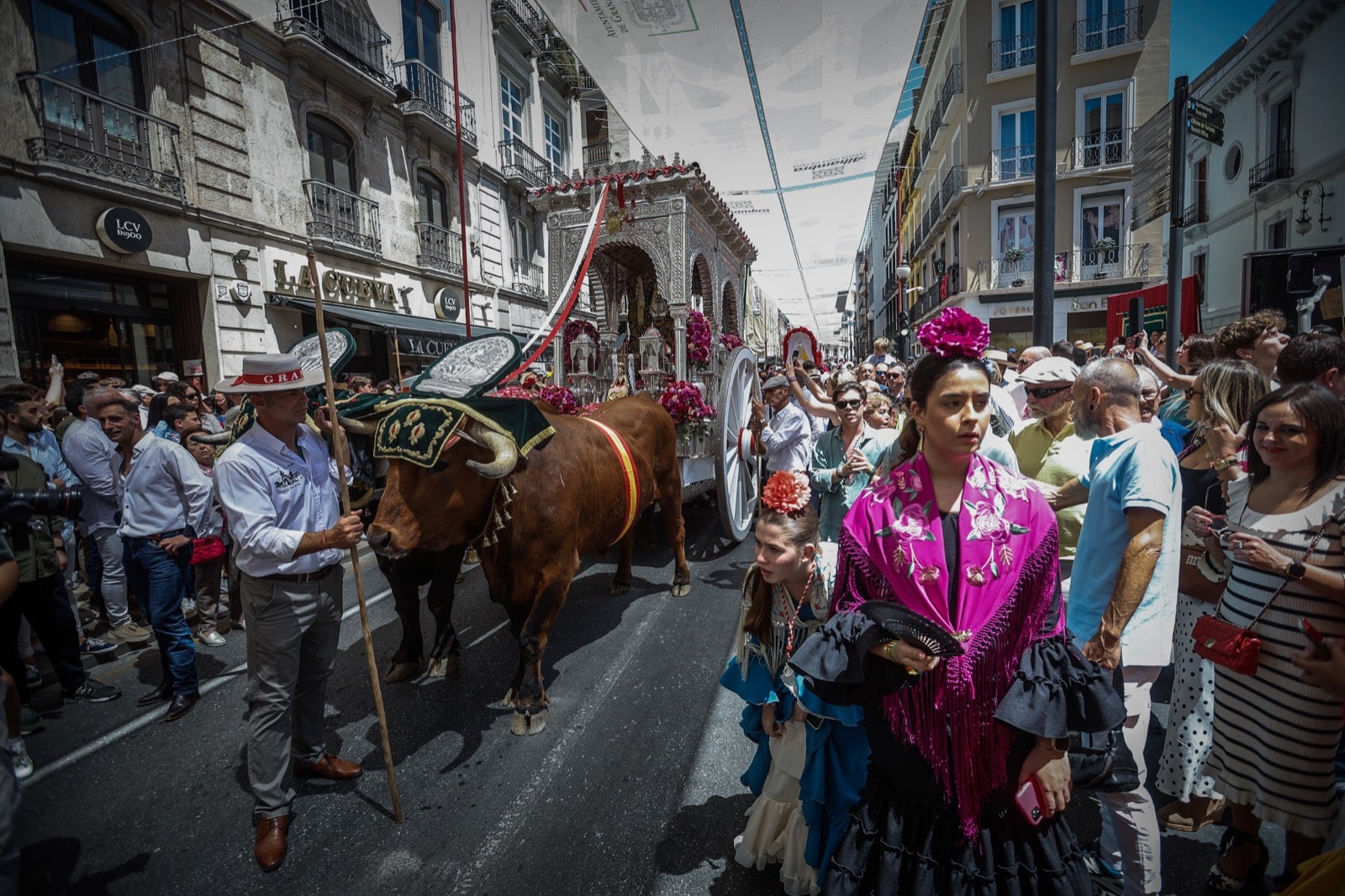 Las imágenes de la salida del Rocío en Granada