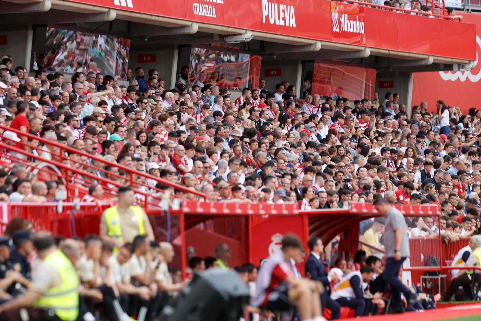 Encuéntrate en la grada en el partido entre Granada y Real Madrid