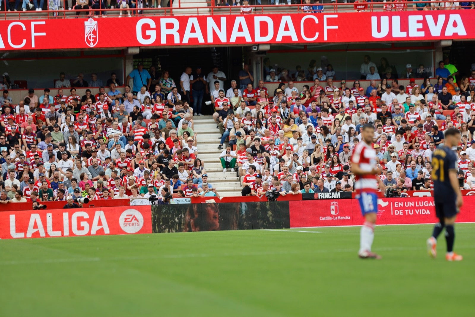 Encuéntrate en la grada en el partido entre Granada y Real Madrid