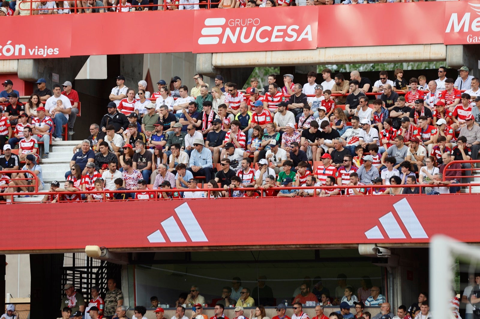 Encuéntrate en la grada en el partido entre Granada y Real Madrid