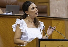 La parlamentaria de Vox y portavoz en la comisión de Inclusión Social, Juventud, Familias e Igualdad, Ana Ruiz.