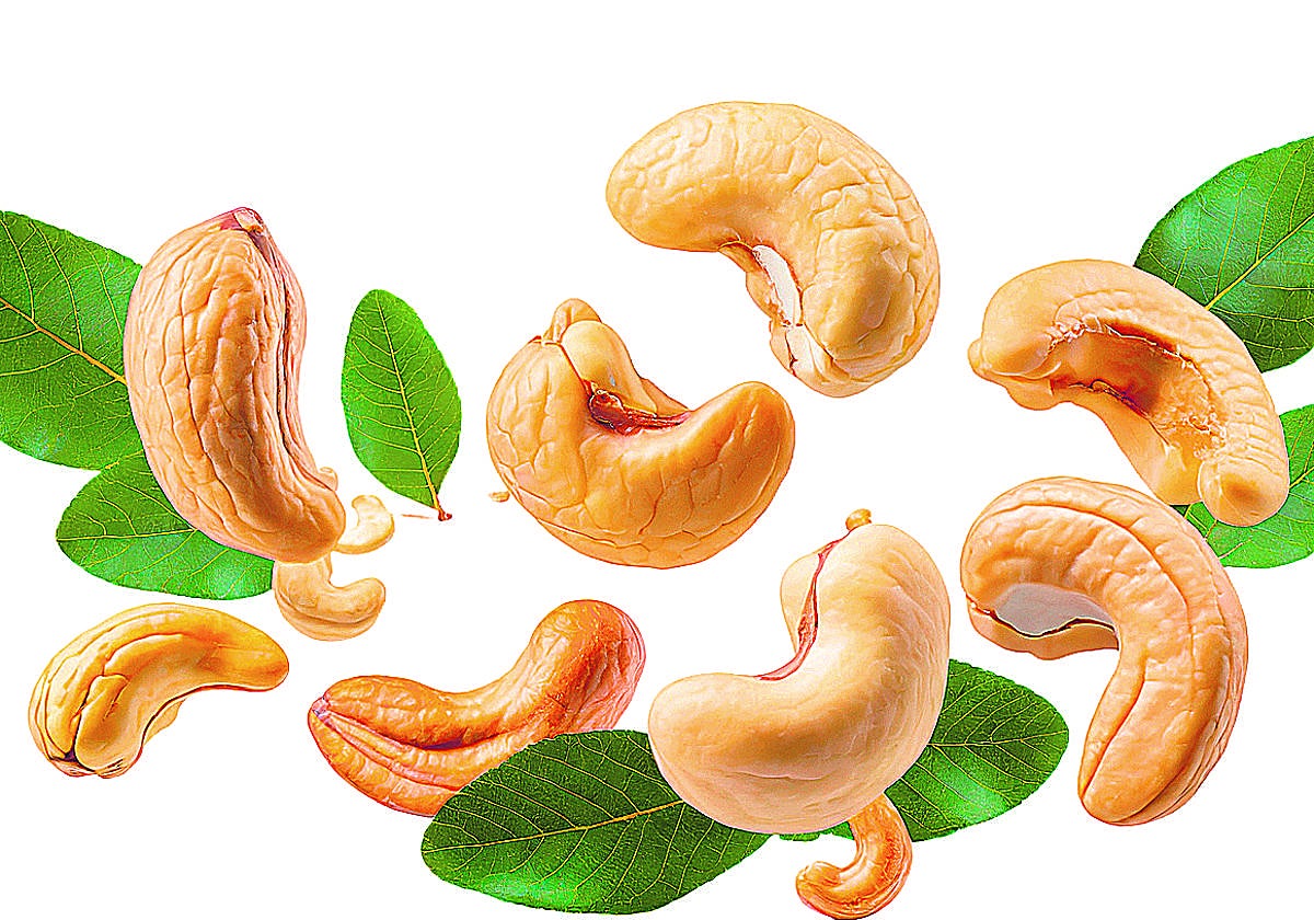 Anacardos y sus múltiples propiedades.