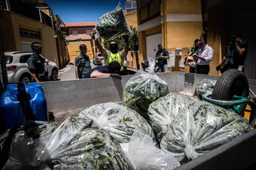 Agentes de la Guardia Civil, durante una operación contra la marihuana en Granada