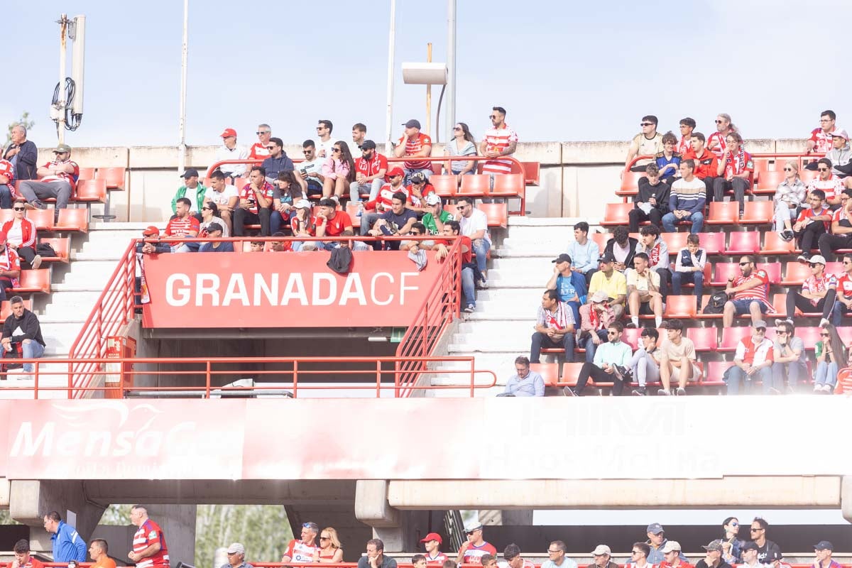 Encuéntrate en la grada en el partido entre Granada y Celta