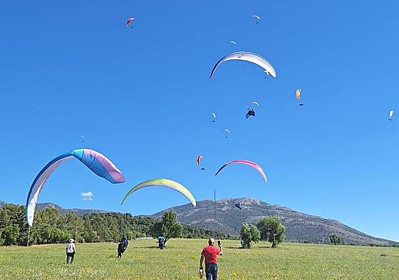 Participan 135 pilotos.