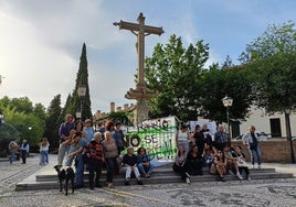 Miembros de la nueva plataforma del Realejo, este jueves en el Campo del Príncipe.