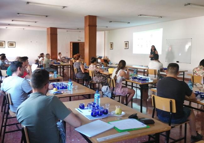 Curso de catadores de aceite de oliva realizado por Ifapa