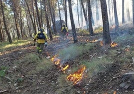 Una quema prescrita anterior en el monte de El Neveral.