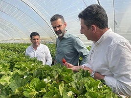 La Junta amplía de nuevo la cuantía de las ayudas agroambientales para llegar a más solicitantes