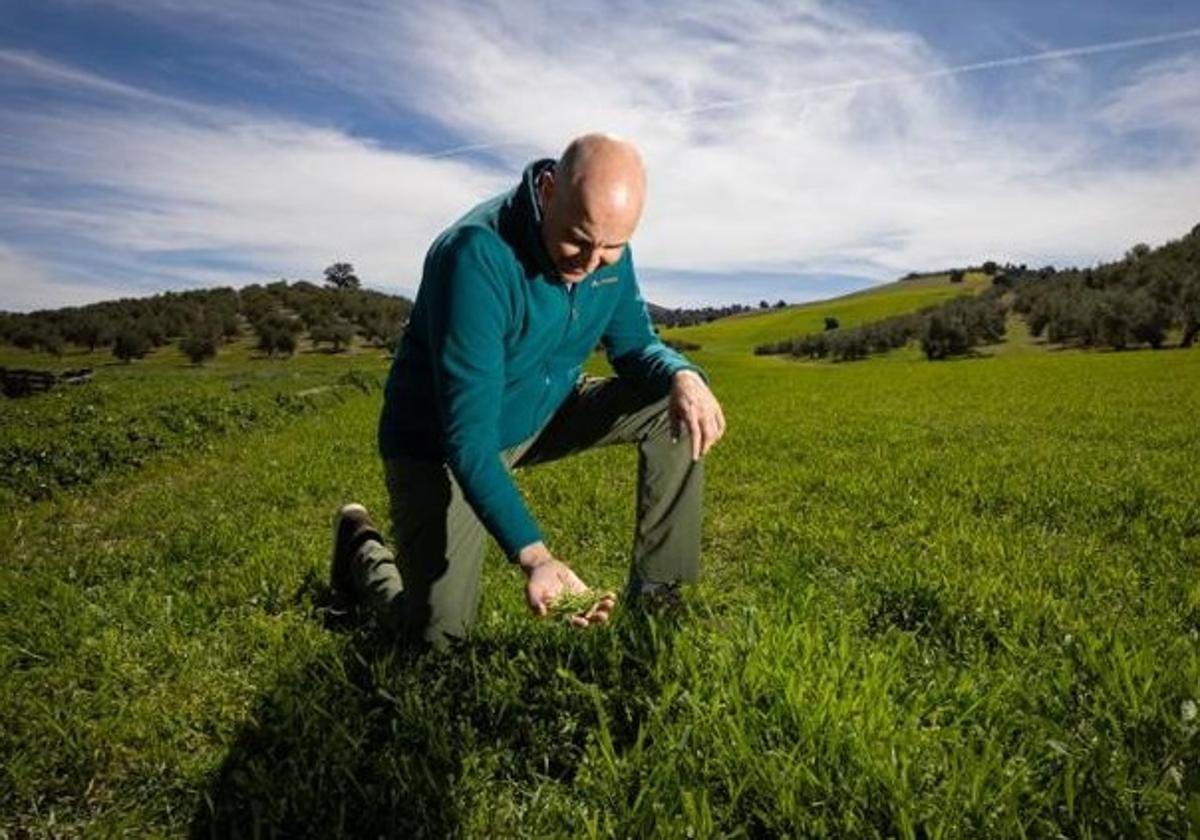 Catorce pagas de 1.157 euros: el salario mínimo del campo en Granada.