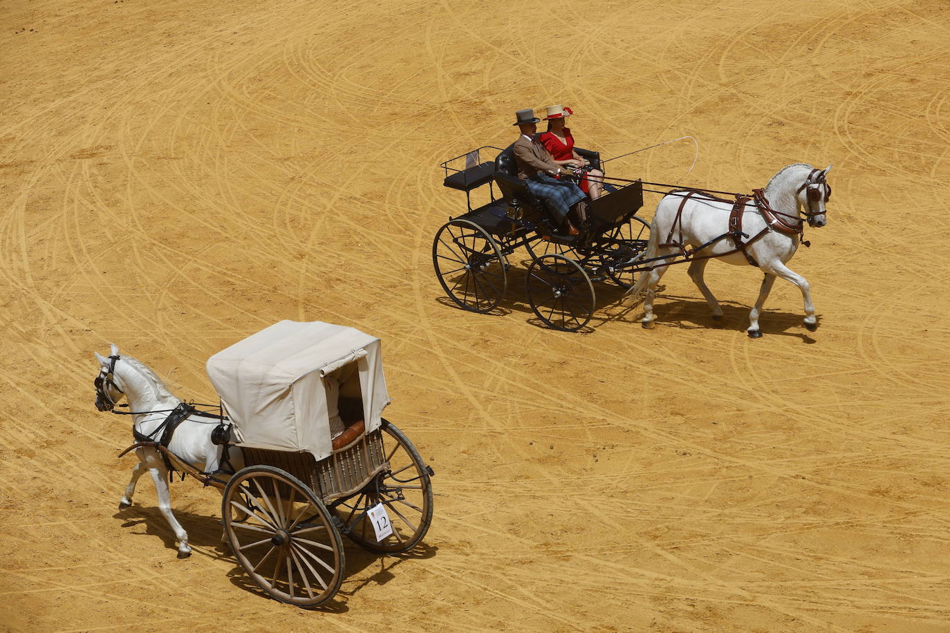 Espectaculares imágenes de los enganches en la plaza de toros de Granada