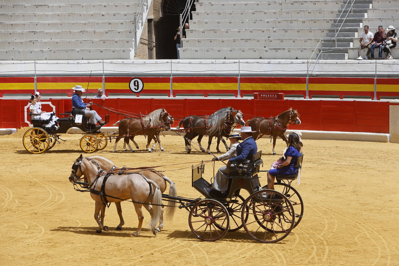 Espectaculares imágenes de los enganches en la plaza de toros de Granada