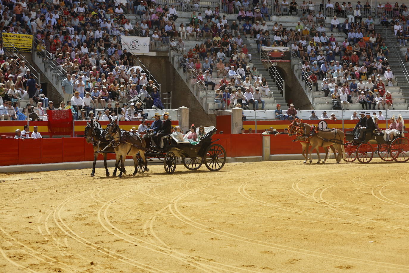 Espectaculares imágenes de los enganches en la plaza de toros de Granada