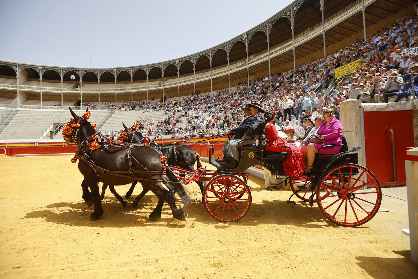 Espectaculares imágenes de los enganches en la plaza de toros de Granada