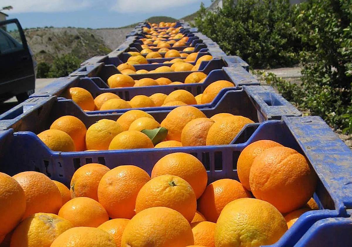 Dos empresas de la provincia, incluidas en el Perte de la descarbonización.